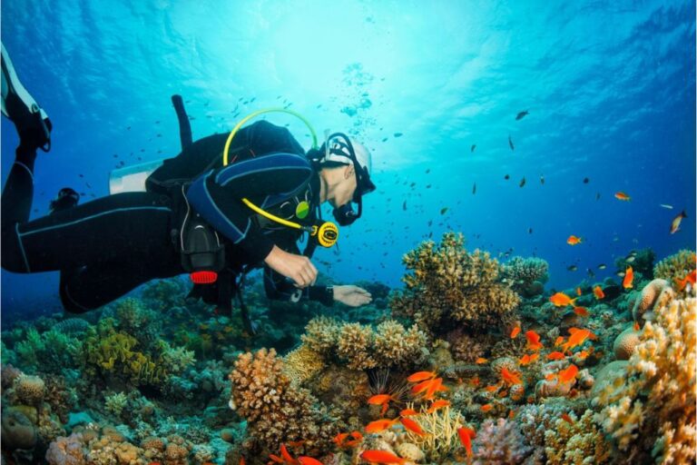 Diver on Reef