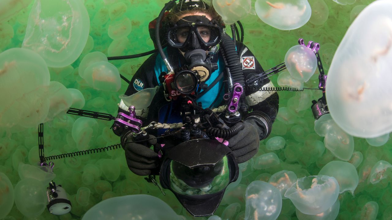 Ultimate Dry Suit Diving Course Raleigh 1 Scuba Certification