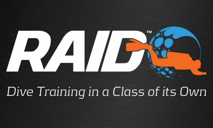 RAID Logo