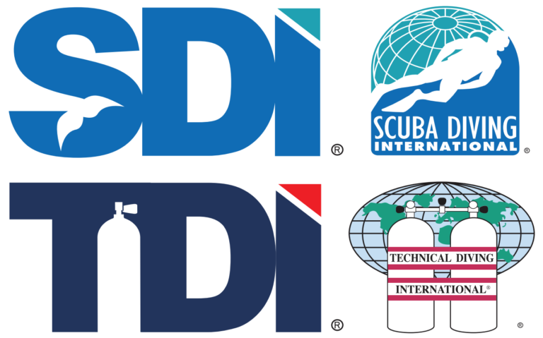 SDI TDI Logo